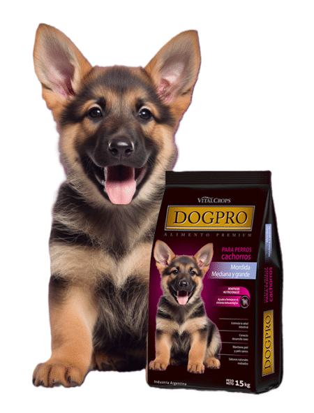DOG PRO CAHORROS