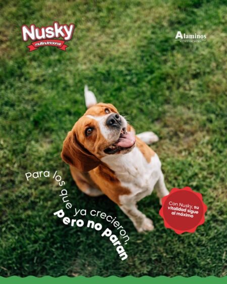 NUSKY PERROS