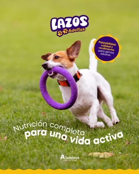 Lazos