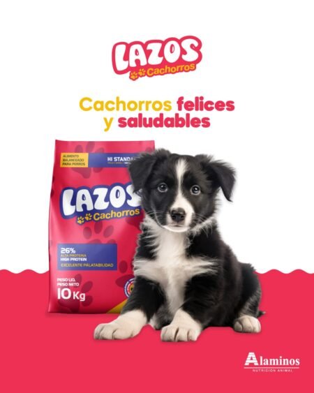 Lazos Cachorros